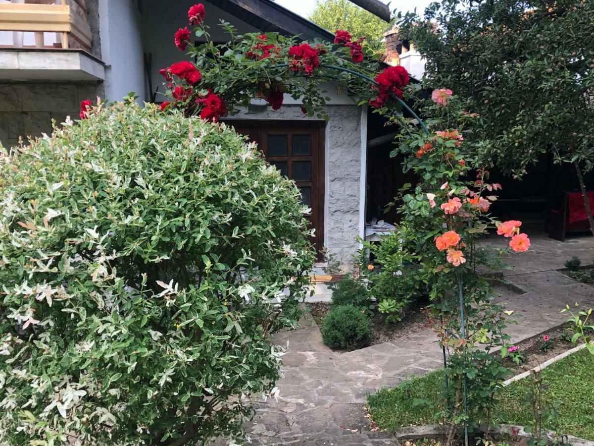 Luylyana Guesthouse Рибарица Экстерьер фото